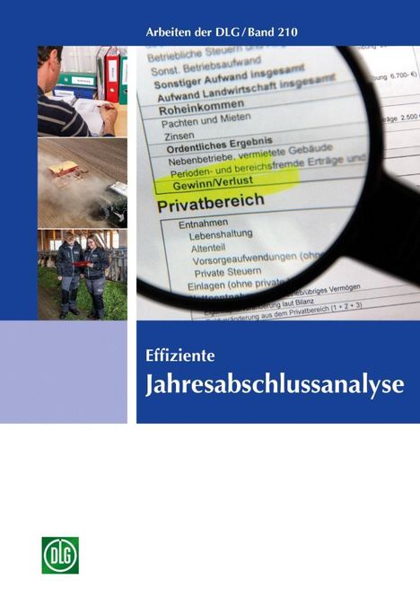 Effiziente Jahresabschlussanalyse, Buch