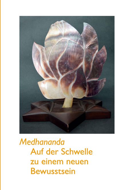 Sri Medhananda: Auf der Schwelle zu einem neuen Bewusstsein, Buch