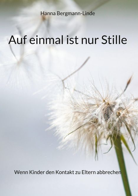 Hanna Bergmann-Linde: Auf einmal ist nur Stille, Buch