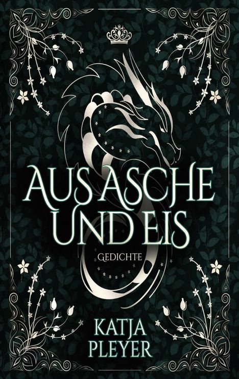 Katja Pleyer: Aus Asche und Eis, Buch