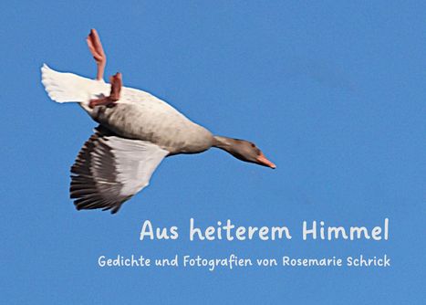 Rosemarie Schrick: Aus heiterem Himmel, Buch