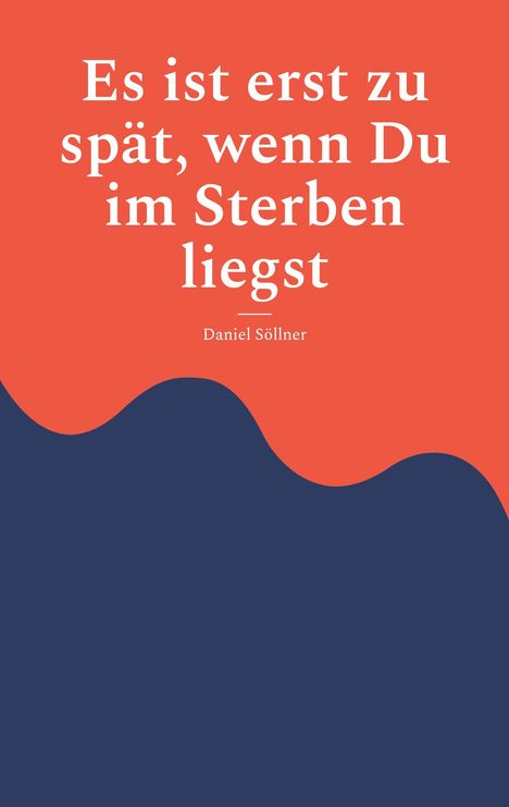 Daniel Söllner: Es ist erst zu spät, wenn Du im Sterben liegst, Buch