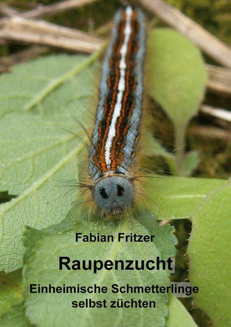 Fabian Fritzer: Raupenzucht, Buch