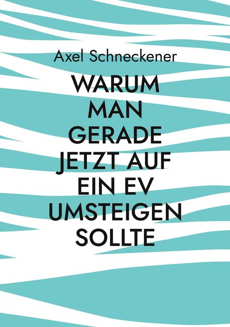 Axel Schneckener: Warum man gerade jetzt auf ein EV umsteigen sollte. Hintergrund aus türkis-weißen Wellenlinien.