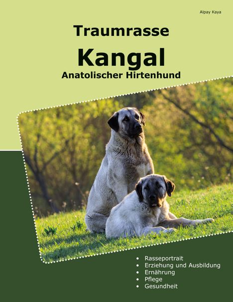 Alpay Kaya: Traumrasse Kangal, Buch