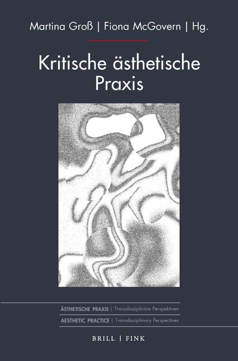 "Kritische ästhetische Praxis" von Martina Groß und Fiona McGovern. Abstrakte schwarz-weiße Illustration.