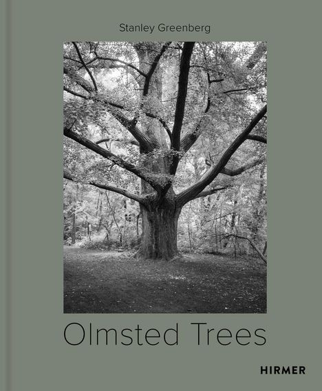 Tom Avermaete: Olmsted Trees, Buch