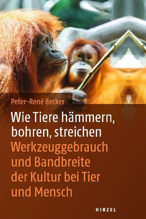 Peter-Rene Becker: Wie Tiere hämmern, bohren, streichen, Buch