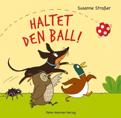 Susanne Straßer: Haltet den Ball!, Buch