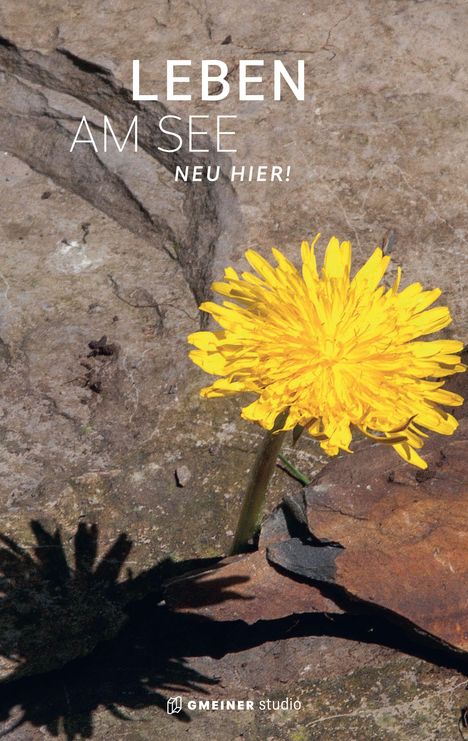 Text: "Leben am See. Neu hier!" Eine gelbe Blume wächst aus einem Riss im felsigen Boden.