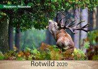 Rotwild 2020, Diverse