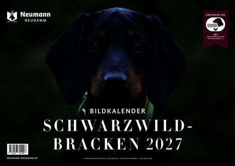 Text: "Bildkalender Schwarzwildbracken 2027." Ein Hund mit dunklem Fell im Vordergrund, Logo links, Emblem rechts.