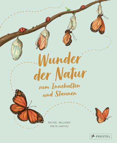Rachel Williams: Wunder der Natur zum Innehalten und Staunen, Buch