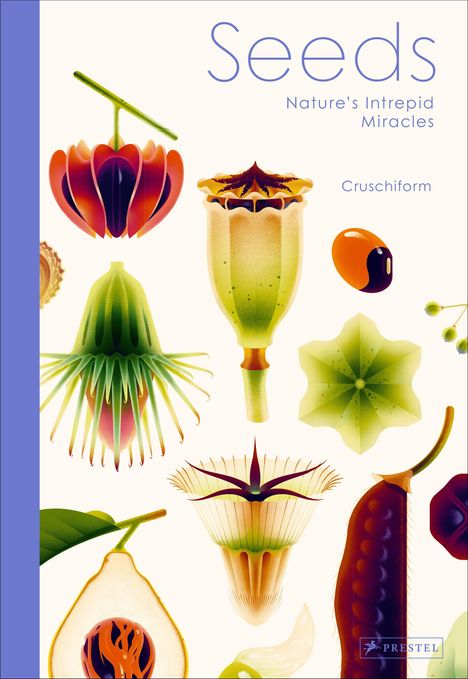 Text: "Seeds, Nature's Intrepid Miracles, Cruschiform." Illustration bunter, abstrakter Samenformen auf hellem Hintergrund.