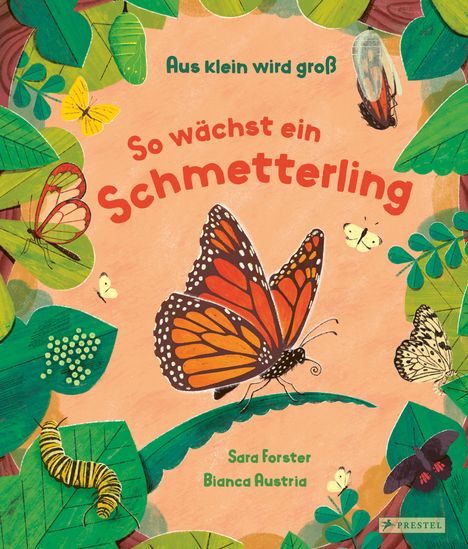 Sara Forster: Aus klein wird groß. So wächst ein Schmetterling, Buch