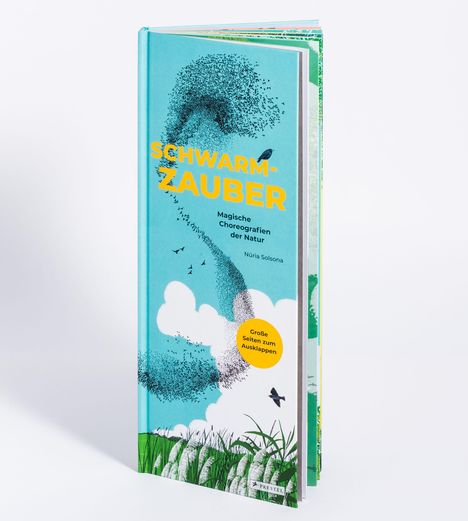 Cover/Produkt Ansicht vergrößern