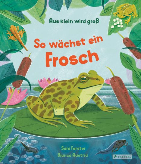 Cover/Produkt Ansicht vergrößern