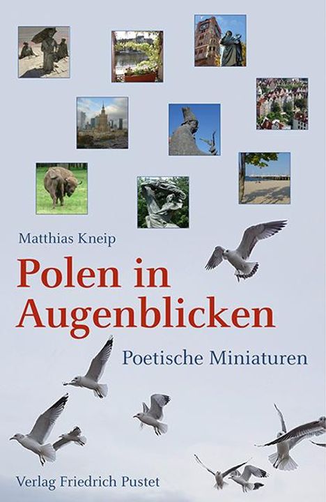 Matthias Kneip: Polen in Augenblicken, Buch