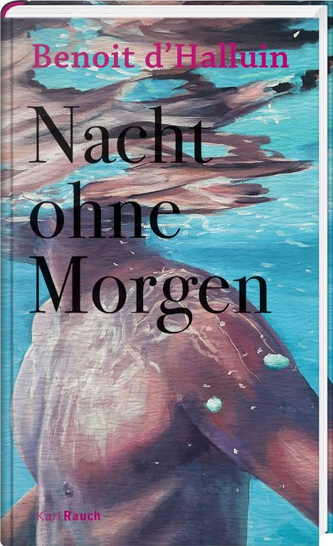 Benoit d`Halluin: Nacht ohne Morgen, Buch