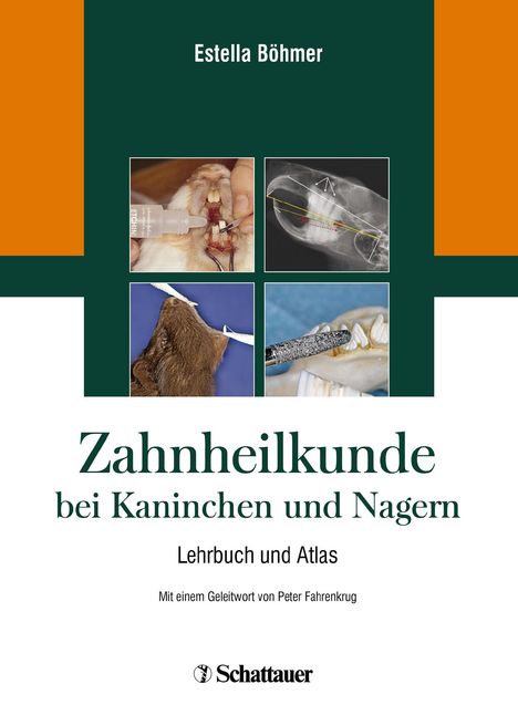 Estella Böhmer: Zahnheilkunde bei Kaninchen und Nagern, Buch