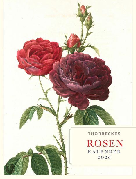 Thorbeckes Rosen-Kalender 2026, Kalender