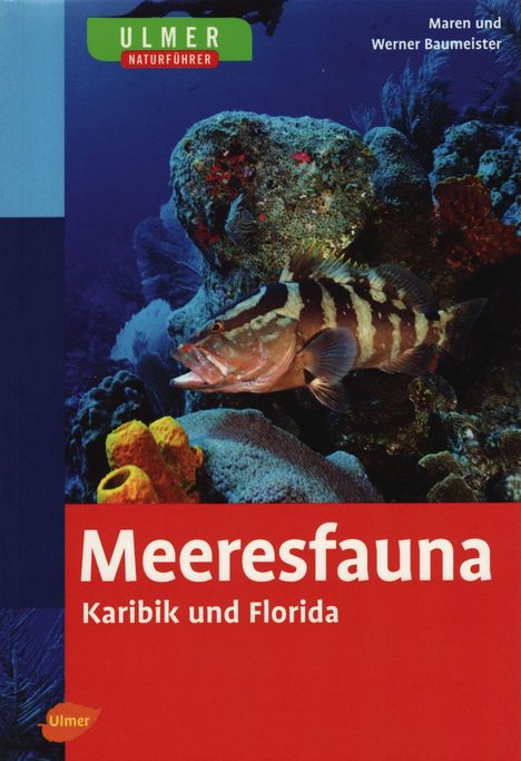 Maren Baumeister: Meeresfauna Karibik und Florida, Buch