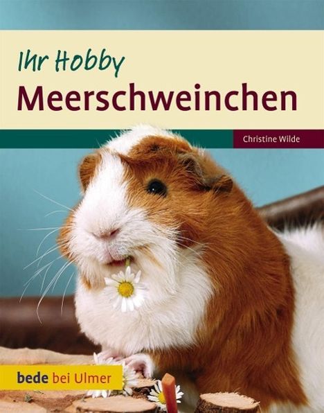 Christine Wilde: Meerschweinchen Ihr Hobby, Buch