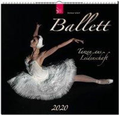 Ballett 2020, Diverse