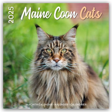 Plenty Gifts: Maine Coon Cats - Main Coon Katzen 2025 - 18-Monatskalender - Original Plenty Gifts-Kalender [Mehrsprachig] [Kalender], Kalender