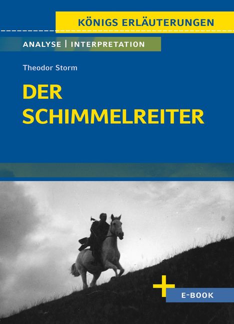 Theodor Storm: Der Schimmelreiter von Theodor Storm., Buch