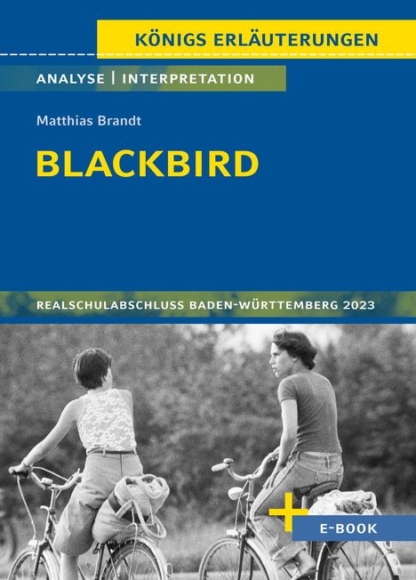 Matthias Brandt: Brandt, M: Blackbird - Textanalyse und Interpretation, Buch