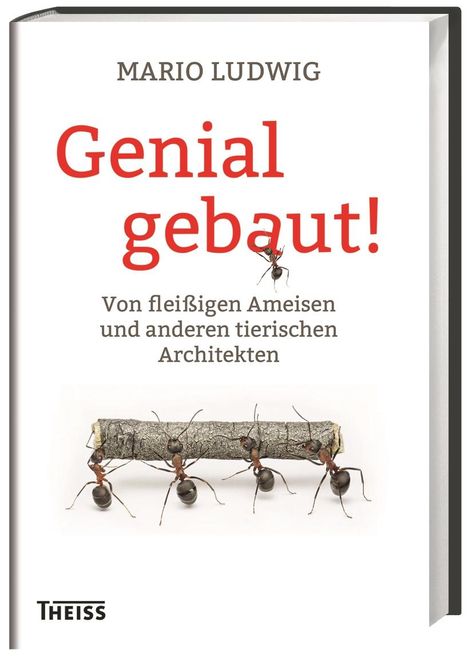 Mario Ludwig: Genial gebaut!, Buch