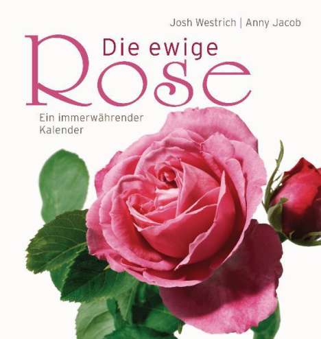 Anny Jacob: Die ewige Rose, Buch