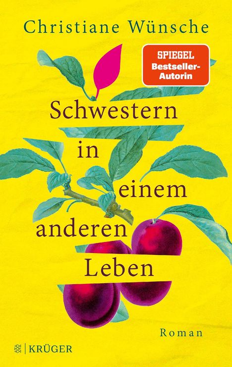 Christiane Wünsche: Schwestern in einem anderen Leben, Buch