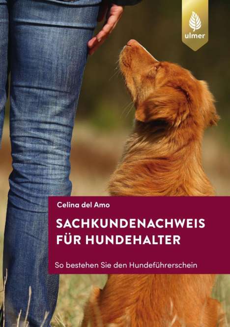 Celina del Amo: Amo, C: Sachkundenachweis für Hundehalter, Buch