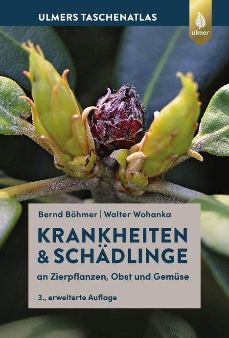 Bernd Böhmer: Krankheiten &amp; Schädlinge an Zierpflanzen, Obst und Gemüse, Buch