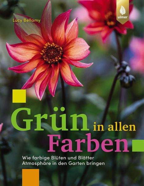 Lucy Bellamy: Grün in allen Farben, Buch