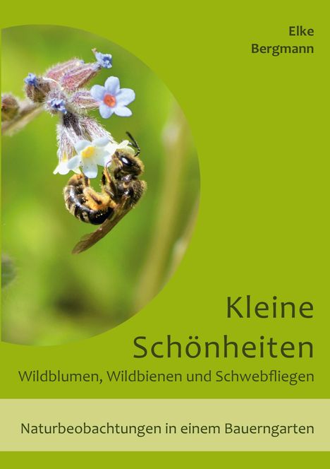 Elke Bergmann: Kleine Schönheiten - Wildblumen, Wildbienen und Schwebfliegen, Buch