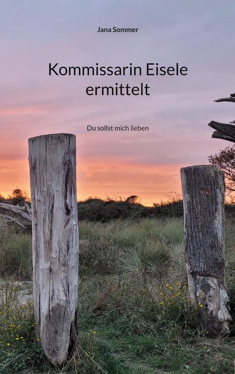 Jana Sommer: Kommissarin Eisele ermittelt, Buch
