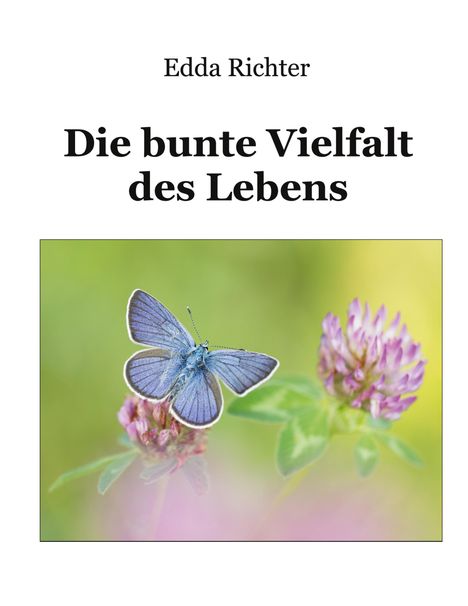 "Edda Richter, Die bunte Vielfalt des Lebens." Ein blauer Schmetterling auf einer Kleeblüte vor unscharfem grünem Hintergrund.