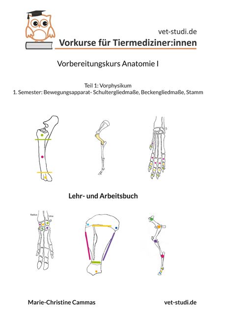 "Vorkurse für Tiermediziner:innen", "Vorbereitungskurs Anatomie I". Farbige anatomische Zeichnungen von Knochenstrukturen.