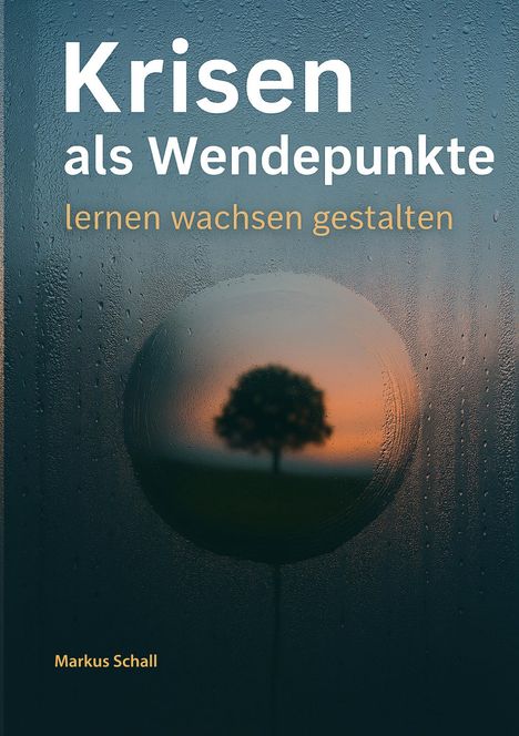 Markus Schall: Krisen als Wendepunkte, Buch