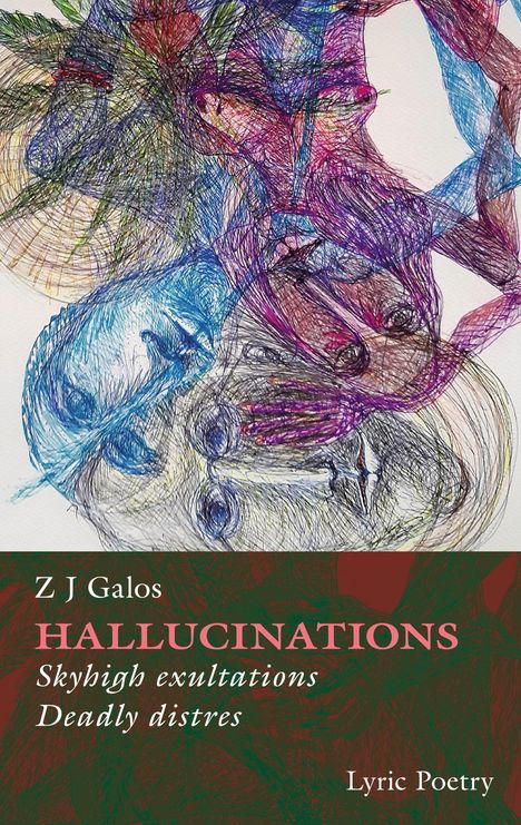 Z J Galos: Hallucinations, Buch