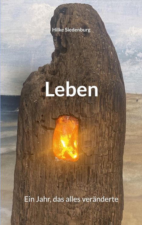 Hilke Siedenburg: Leben, Buch