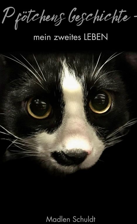 "Pfötchens Geschichte - mein zweites LEBEN. Madlen Schuldt." Nahaufnahme eines schwarz-weißen Katzengesichts.