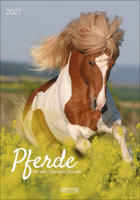 „2027. Pferde. Horses · Chevaux · Cavalli.“ Ein braun-weißes Pferd galoppiert durch ein Feld mit gelben Blumen.