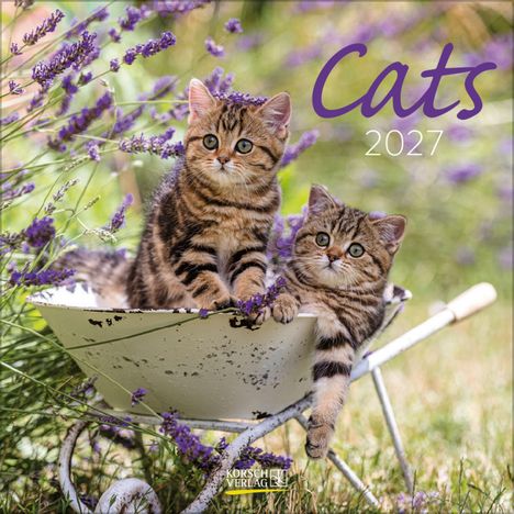 Text: "Cats 2027". Zwei getigerte Kätzchen sitzen in einer Schubkarre, umgeben von blühendem Lavendel.