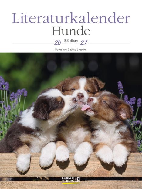 "Literaturkalender Hunde 2027, 53 Blatt, Fotos von Sabine Stuewer". Drei Hundewelpen lecken sich liebevoll.