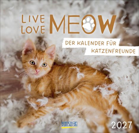LIVE LOVE MEOW, DER KALENDER FÜR KATZENFREUNDE, 2027. Ein rotes Kätzchen liegt auf weichen Federn.