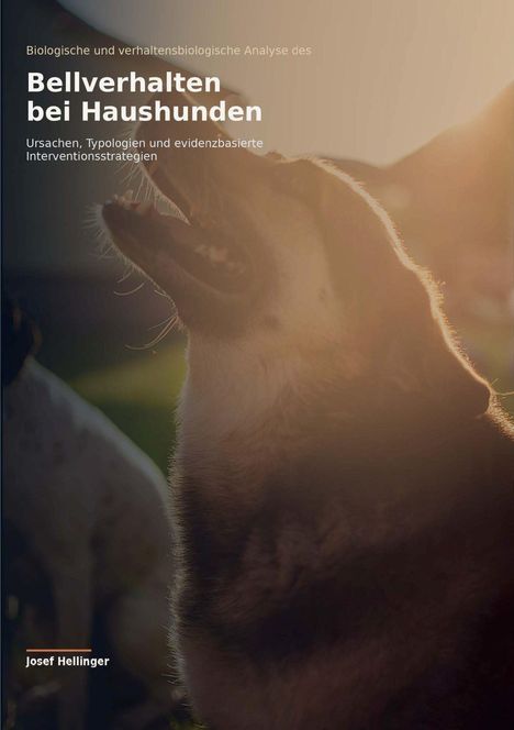Titel: "Bellverhalten bei Haushunden". Ein Hund, der nach oben schaut, beleuchtet von warmem Sonnenlicht. Autor: Josef Hellinger.